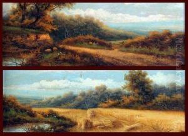 Harvest Field And Country Landscape - view 1