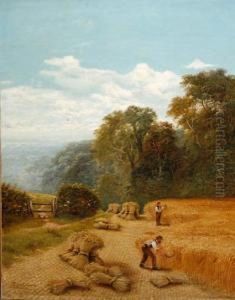 A Cornfield, Godalming, Surrey
