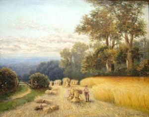 A Cornfield Shere, Surrey