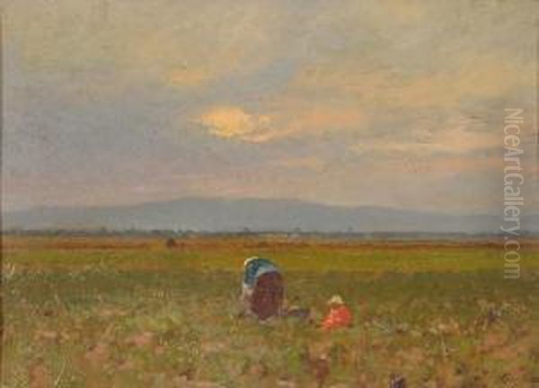 Nel Campo - view 1