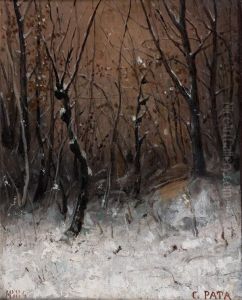 Sous-bois Enneige by Cherubino Pata