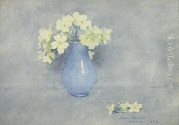 Primulas - view 1