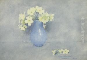 Primulas