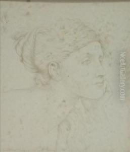 Pre-raphaelite Head