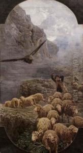 L'aquila