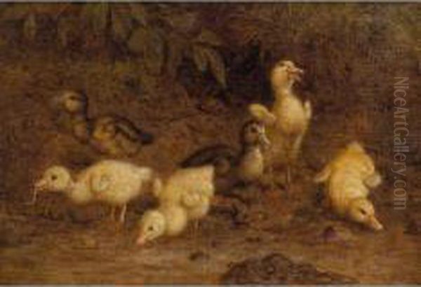 Anatroccoli In Uno Stagno - view 1