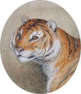 Head Study Of A Tiger by Frank Paton