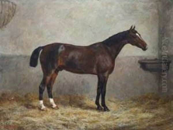 Portrait Of A Racehorse In A Stable - view 1