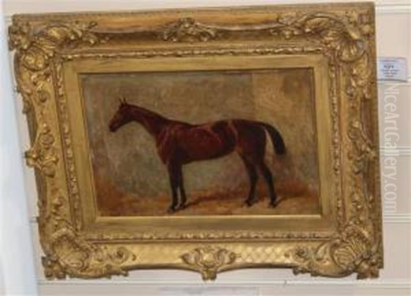 Horse In A Stable - view 1