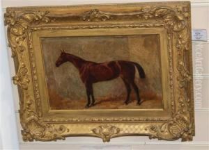 Horse In A Stable by Frank Paton