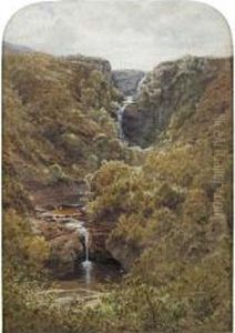 A Wooded Burn by Waller Hugh Paton
