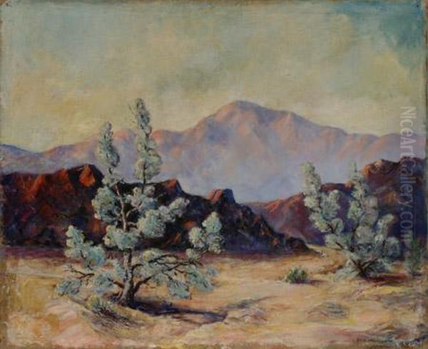 Western Desert Landscape - view 1