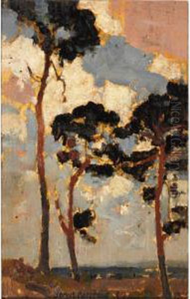 Fir Trees - view 1