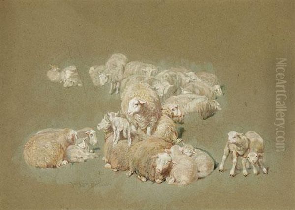 Study Of A Flock Of Sheep - view 1