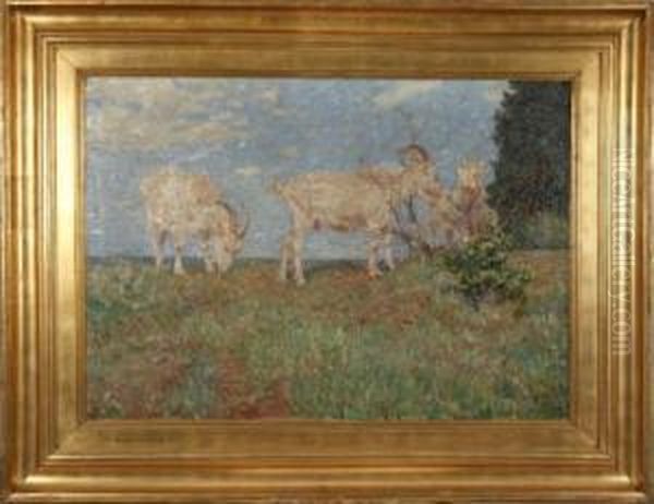 Ziegen In Sonnigerlandschaft - view 1