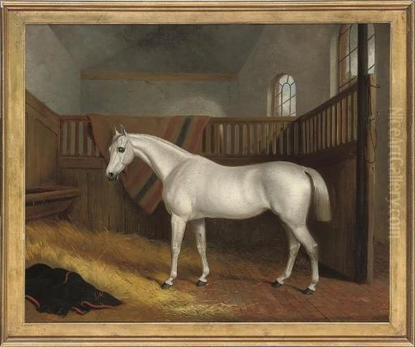 A Grey Hunter In A Stable - view 1