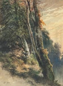 Bewaldeter Berghang Im Herbst. by Charles Pauli