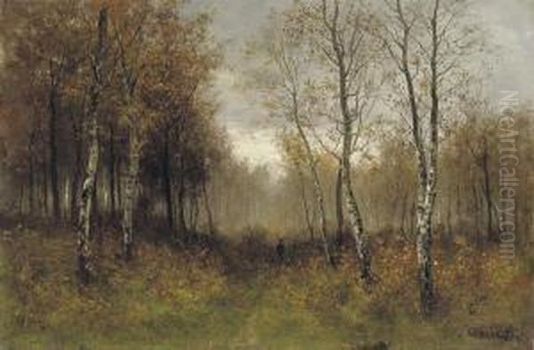 A Walk In The Birch Forest - view 1