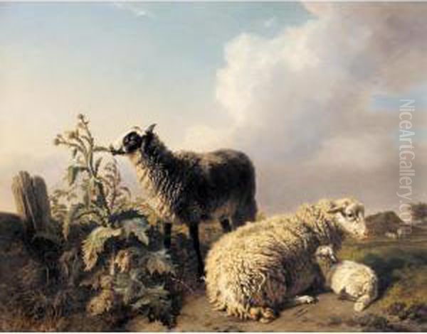 Les Moutons - view 1