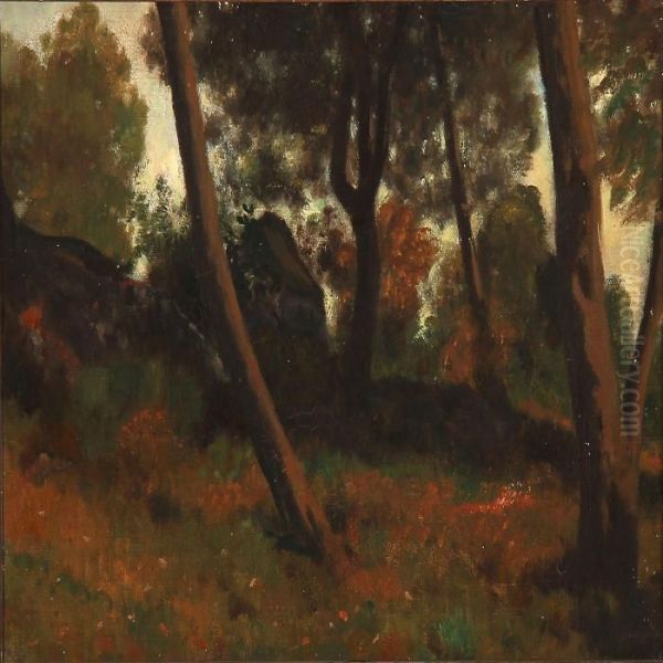 Forest Scene On Bornholm Island, Denmark - view 1