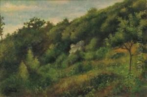 Macchia Collinare