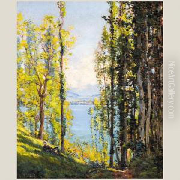 Paisaje - view 1