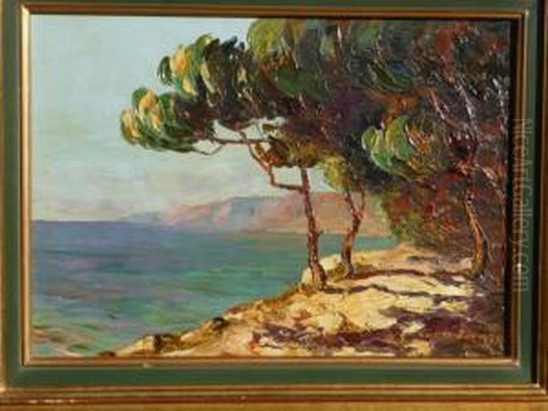 Pins Au Bords De La Mer - view 1
