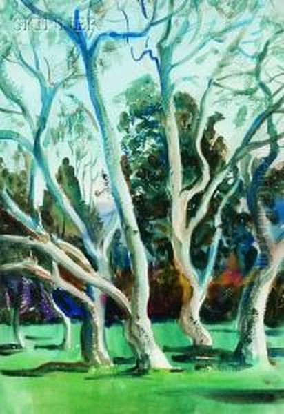 Trees - view 1