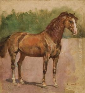 Horse Study by Waclaw Pawliszak