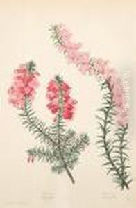 Botanical Studies