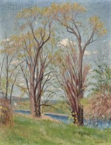 Spring By The River - view 1