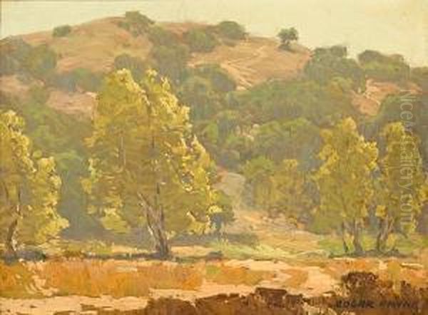 Laguna Canyon - view 1