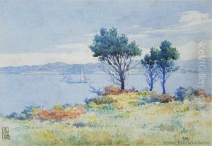 Auckland From The North Shore Channel by Edward William Payton