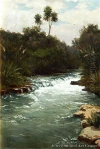 Cascade & Cabbage Tree by Edward William Payton