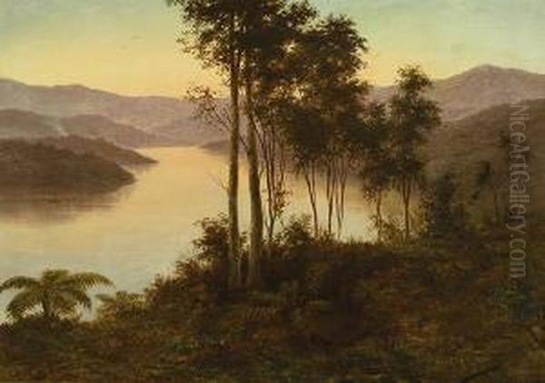 New Zealand Landscape - view 1