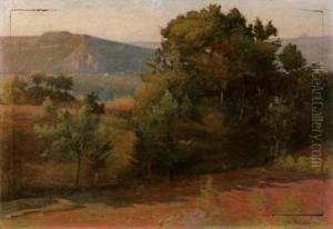 Sole Nascente Sulle Querce Annose by Norberto Pazzini