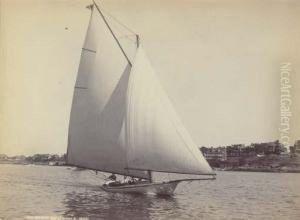 Sloops Racing Sloops Racing