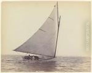A Regatta