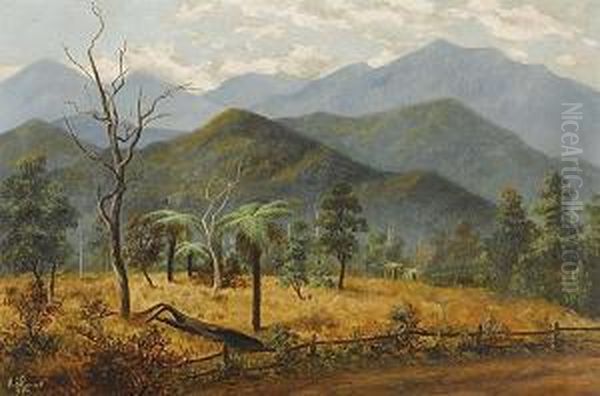 Dandenongs - view 1