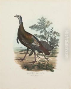 Wild Turkeys by Titian Ramsay Peale