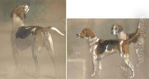 Five Sketches Of Foxhounds - view 1