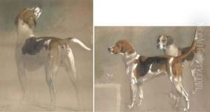 Five Sketches Of Foxhounds by Pearce, Stephen