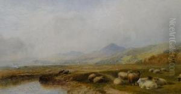 Sheep In A Valley, North Wales - view 1