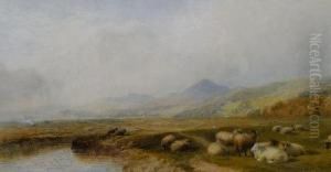 Sheep In A Valley, North Wales by Cornelius Pearson