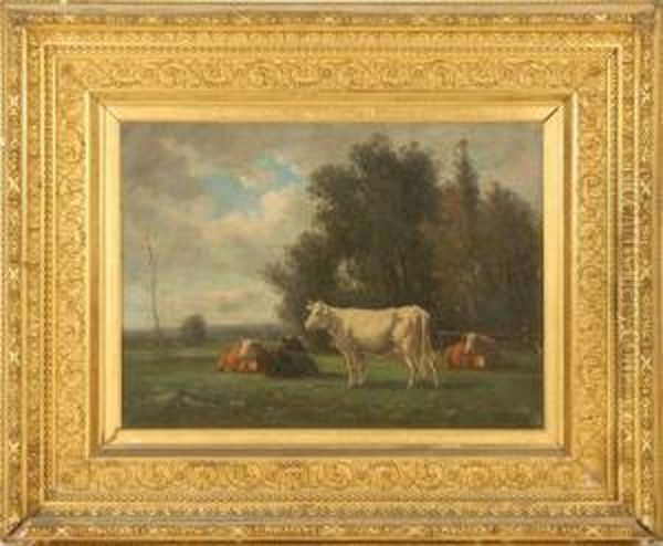 Cows In A Pasture. - view 1