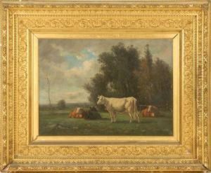 Cows In A Pasture.