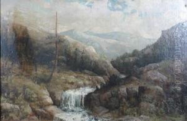 Landscape - view 1