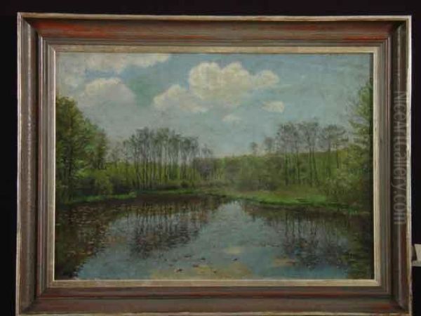 Nordische Seenlandschaft - view 1
