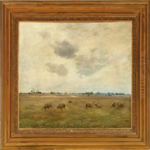 Sheep In The Field, Autumn Sheep In The Field, Autumn