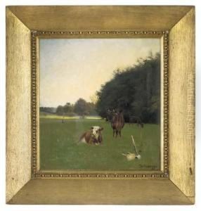 Cattle Grazing At Dusk Cattle Grazing At Dusk